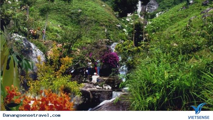 Suối Cẩm Hương Đà Nẵng - Ảnh 4 Suối Cẩm Hương Đà Nẵng - Ảnh 4