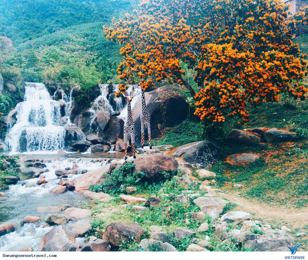 Suối Hoa Suối Hoa