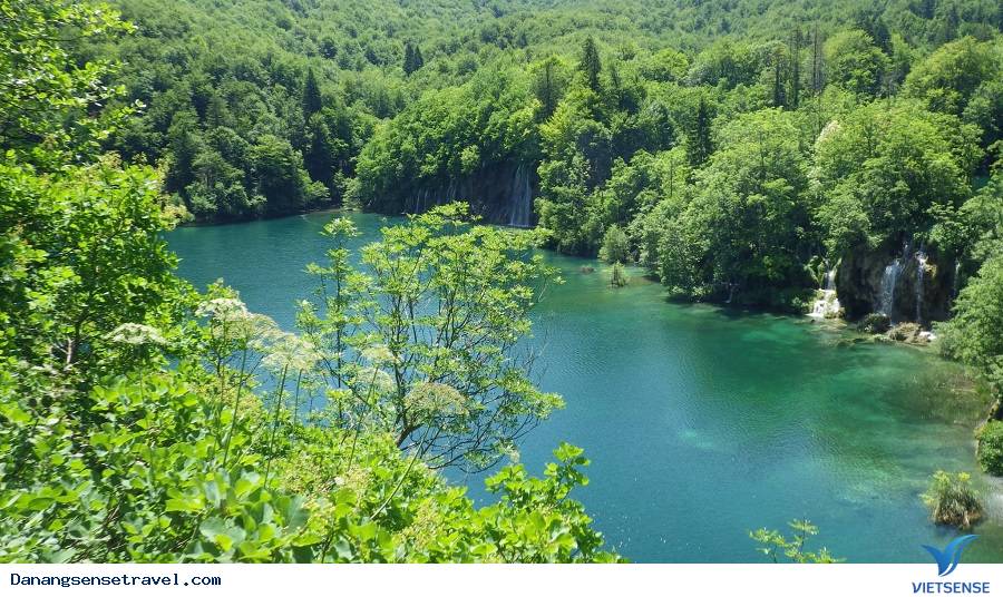 khu thăm quan sinh thái Lái Thiêu Đà Nẵng - Ảnh 4 khu thăm quan sinh thái Lái Thiêu Đà Nẵng - Ảnh 4