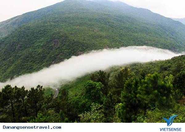 Tham quang Hải Vân Quan Đà Nẵng - Ảnh 2