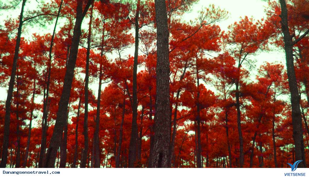 Thánh địa sống ảo Hồ Thủy Tiên và Đồi Thiên An có gì lạ. - Ảnh 2 Thánh địa sống ảo Hồ Thủy Tiên và Đồi Thiên An có gì lạ. - Ảnh 2