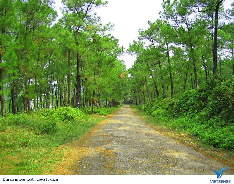 Thánh địa sống ảo Hồ Thủy Tiên và Đồi Thiên An có gì lạ. - Ảnh 1 Thánh địa sống ảo Hồ Thủy Tiên và Đồi Thiên An có gì lạ. - Ảnh 1