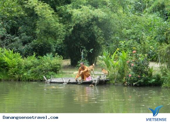 Thiên đường lạc lối vào rừng tre núi Sơn Trà - Ảnh 1