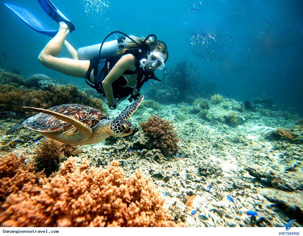 Thời gian hành trình giải trí trên biển Cù lao Chàm - Ảnh 2 Thời gian hành trình giải trí trên biển Cù lao Chàm - Ảnh 2