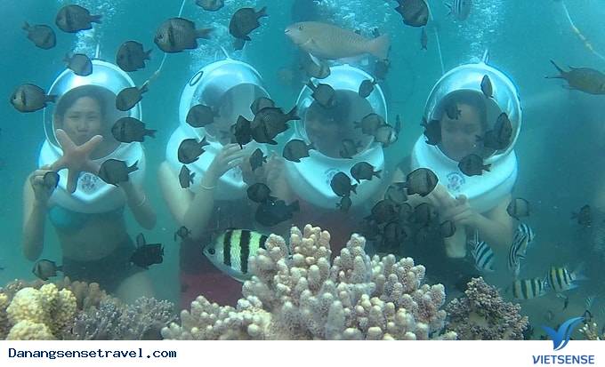 Thời gian hành trình giải trí trên biển Cù lao Chàm - Ảnh 5 Thời gian hành trình giải trí trên biển Cù lao Chàm - Ảnh 5