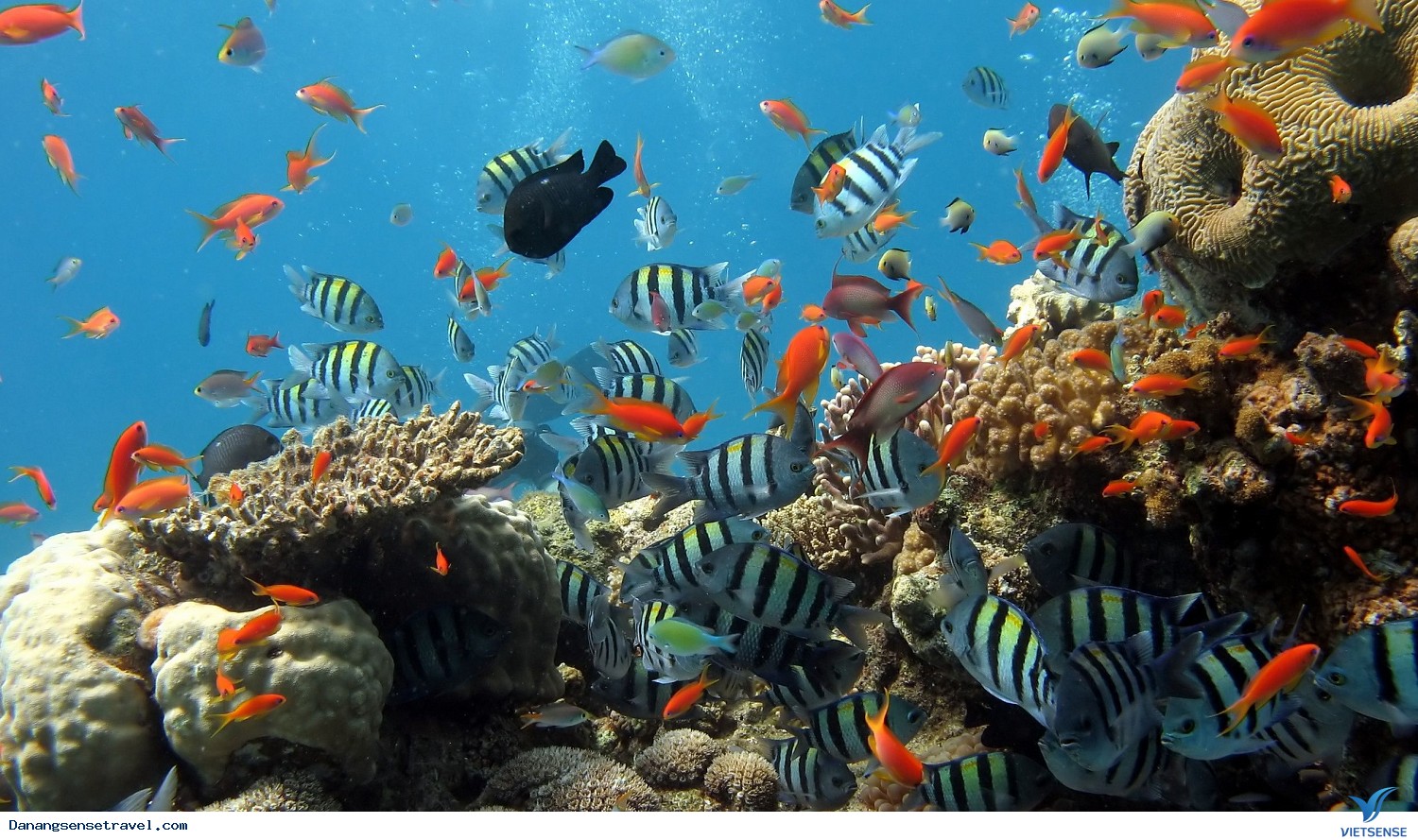 Tìm đến nơi nhìn thấy Hoa vàng trên cỏ xanh đẹp hơn cả trong phim - Ảnh 4 Tìm đến nơi nhìn thấy Hoa vàng trên cỏ xanh đẹp hơn cả trong phim - Ảnh 4