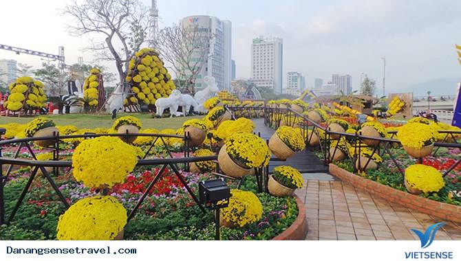 Tìm đến nơi nhìn thấy Hoa vàng trên cỏ xanh đẹp hơn cả trong phim - Ảnh 2 Tìm đến nơi nhìn thấy Hoa vàng trên cỏ xanh đẹp hơn cả trong phim - Ảnh 2
