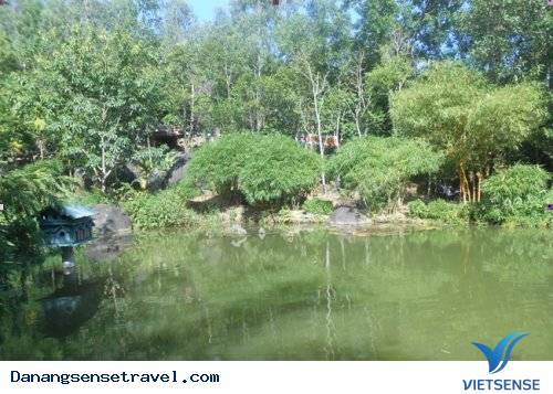 Tới Sơn Trà Tịnh Viên chiêm ngưỡng bộ sưu tầm tre trúc - Ảnh 3 Tới Sơn Trà Tịnh Viên chiêm ngưỡng bộ sưu tầm tre trúc - Ảnh 3