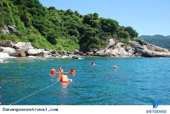 chương trình lặn biển ngắm san hô Cù Lao Chàm - Ảnh 4 chương trình lặn biển ngắm san hô Cù Lao Chàm - Ảnh 4