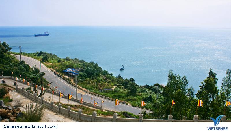 chương trình xe đạp khám phá khu bảo tồn thiên nhiên Sơn Trà - Ảnh 2