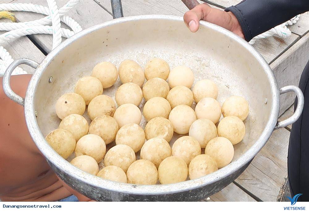 Trứng rùa nở ở Cù Lao Chàm - Ảnh 4