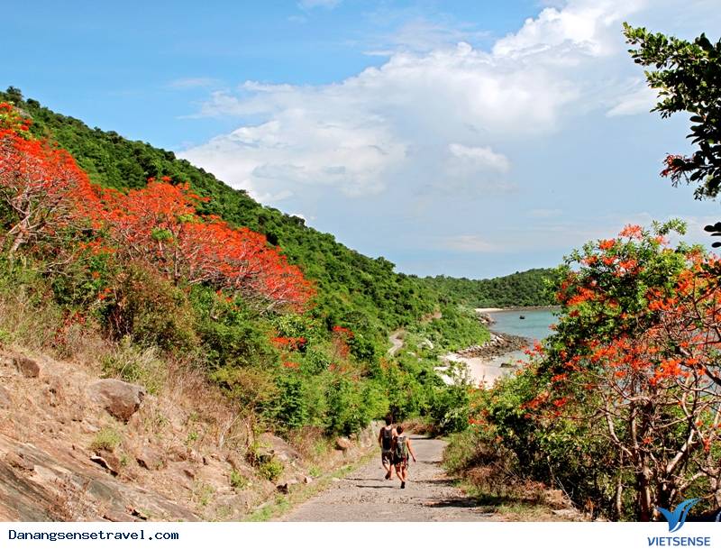 Vẻ đẹp Cù Lao Chàm - Ảnh 1 Vẻ đẹp Cù Lao Chàm - Ảnh 1