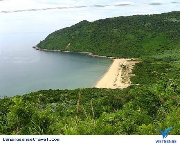 Vẻ đẹp hoang sơ Bãi Chuối - Ảnh 2 Vẻ đẹp hoang sơ Bãi Chuối - Ảnh 2