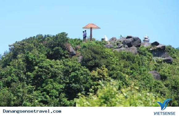 Vẻ đẹp quyến rũ Sơn Trà - Ảnh 4 Vẻ đẹp quyến rũ Sơn Trà - Ảnh 4