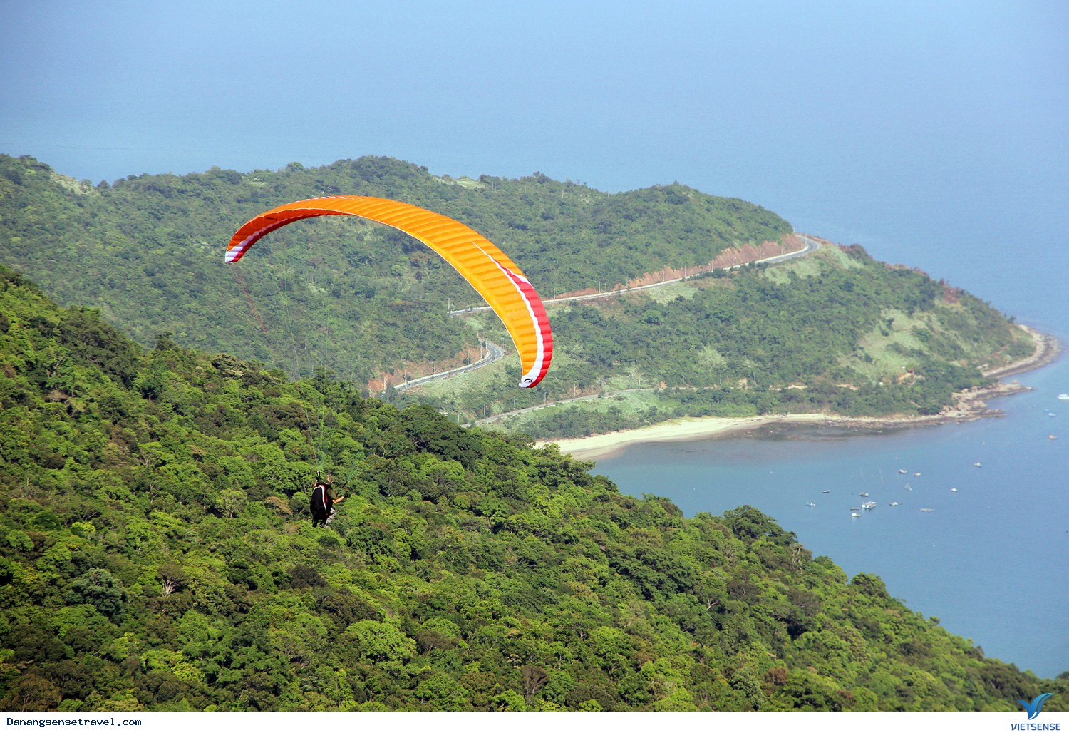 Vì màu xanh Sơn Trà - Ảnh 1