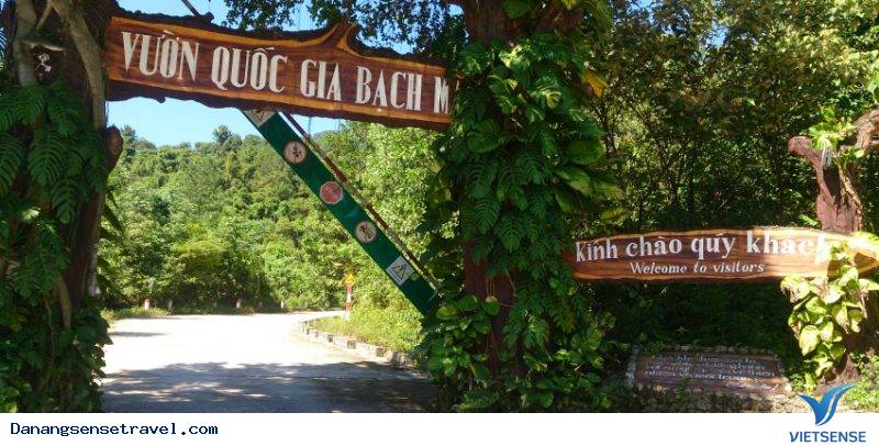 Vườn Quốc gia Bạch Mã sắp có tuyến cáp treo - Ảnh 4