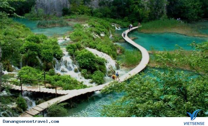 Vườn Quốc gia Bạch Mã sắp có tuyến cáp treo - Ảnh 3